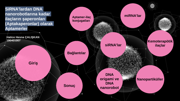 Aptamerler by Hatice Hesna ÇALIŞKAN on Prezi