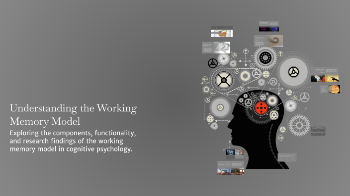 Understanding the Working Memory Model by Andrew Higgs on Prezi