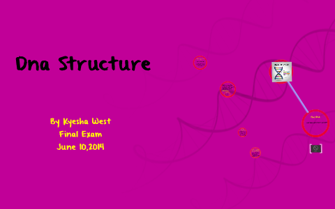 Dna Structure by Kyesha West on Prezi