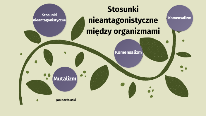 Stosunki nieantagonistyczne między organizmami by Jan Kozłowski on Prezi