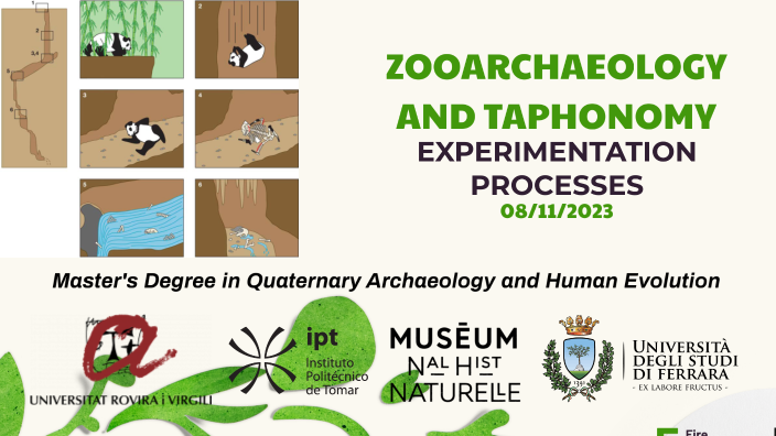 TAPHONOMY AND ARCHAEOLOGY by Mar Repiso on Prezi