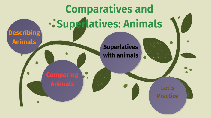 Wordwall Comparatives And Superlatives Animals