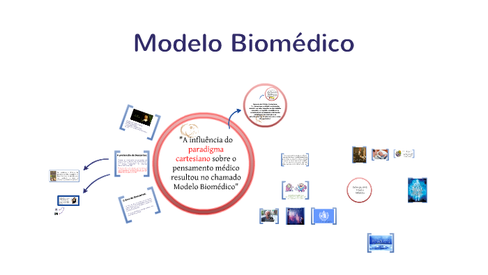 Modelo Biomédico by Giselle Silva