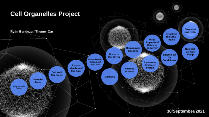 Cell Project by Ryan Bendezu on Prezi
