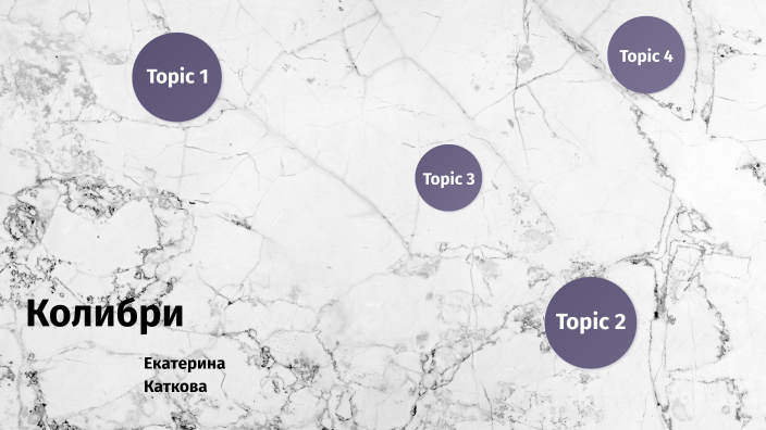 Колибри by Екатерина Каткова on Prezi