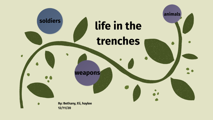 Life In The Trenches By Bethany Shelton