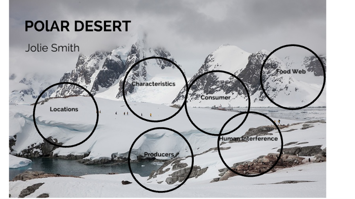 Polar desert Biome project by Jolie Smith on Prezi