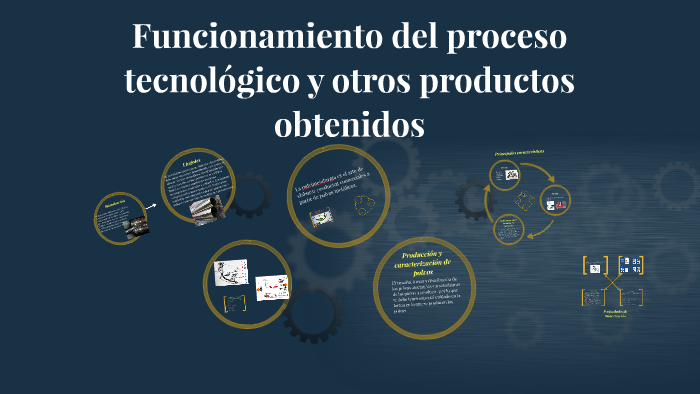 Funcionamiento Del Proceso Tecnológico Y Otros Productos Obtenidos