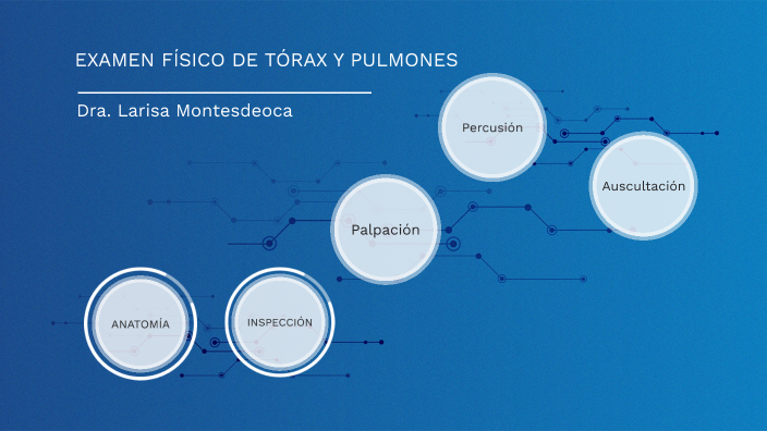Torax Ex Ex Fx de tórax by LARISA MONTESDEOCA on Prezi