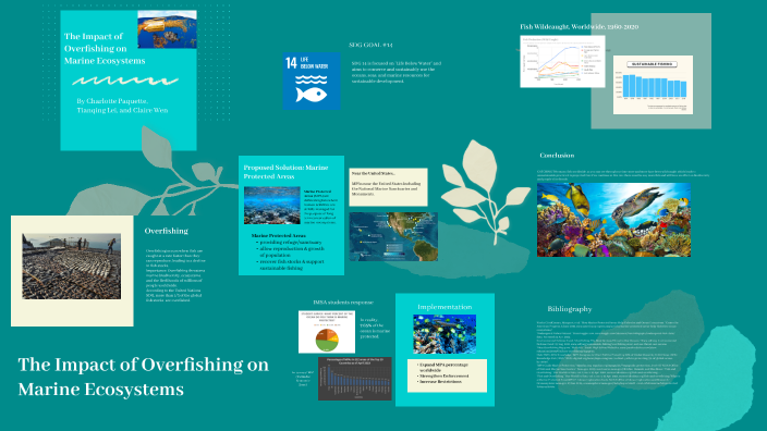 The Impact of Over Fishing on Marine Ecosystems by Tianqing Lei on Prezi