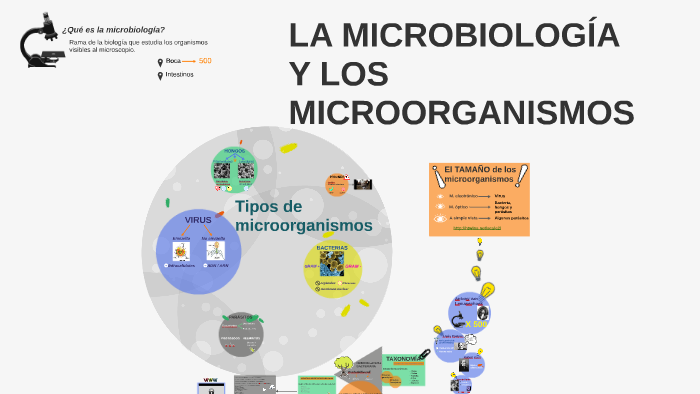 La microbiología y los microorganismos by Celia Ahedo
