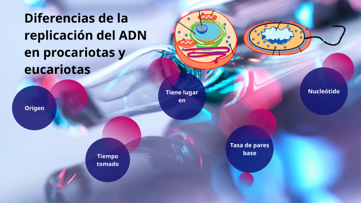 Diferencias de la replicación en procariotas y eucariotas by Alison