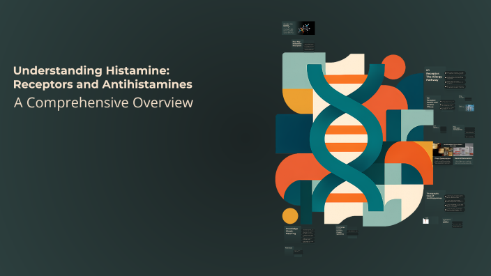 Understanding Histamine: Receptors and Antihistamines by Hana Hesham on ...