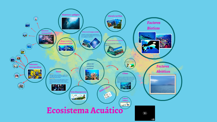 Ecosistema Acuatico by Manuel Sanchez on Prezi