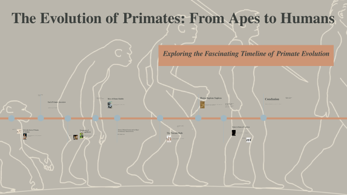 The Evolution of Primates: From Apes to Humans by Henry Miller on Prezi