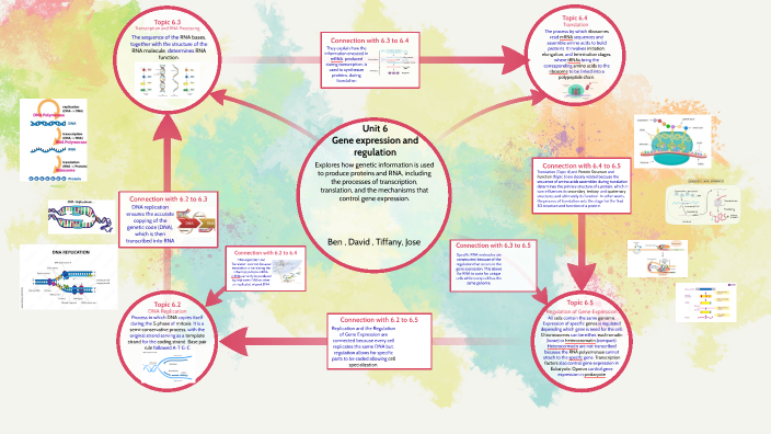 Unit 6 Mind Map by Tiffany Imperio on Prezi