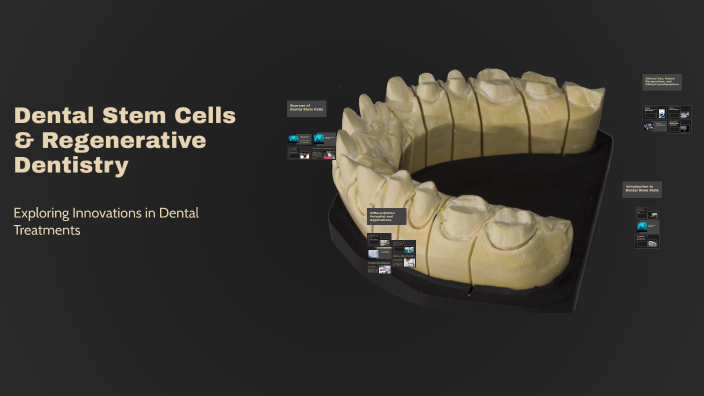 Dental Stem Cells & Regenerative Dentistry by George Morcos on Prezi