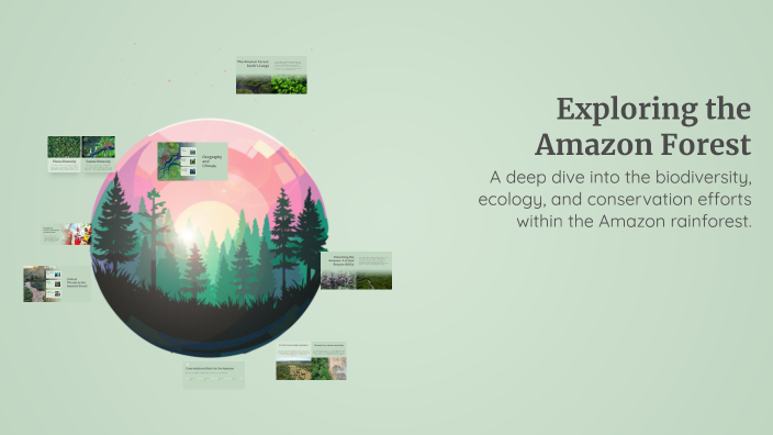 Exploring the Amazon Forest by Gabriel Jehovan on Prezi