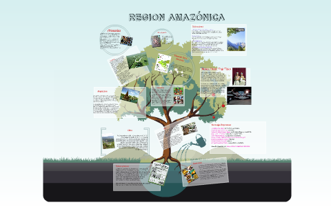 REGION AMAZÓNICA by Eduardo Rengifo Pinzón on Prezi