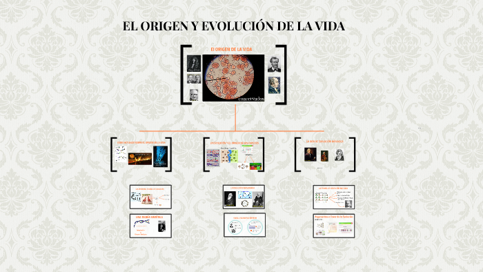 EL ORIGEN Y EVOLUCION DE LA VIDA by eliana gomez jimenez on Prezi