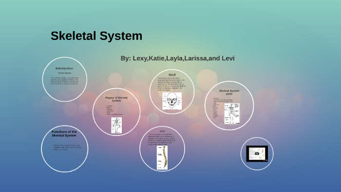 Skeletal System by Alexia garcia on Prezi