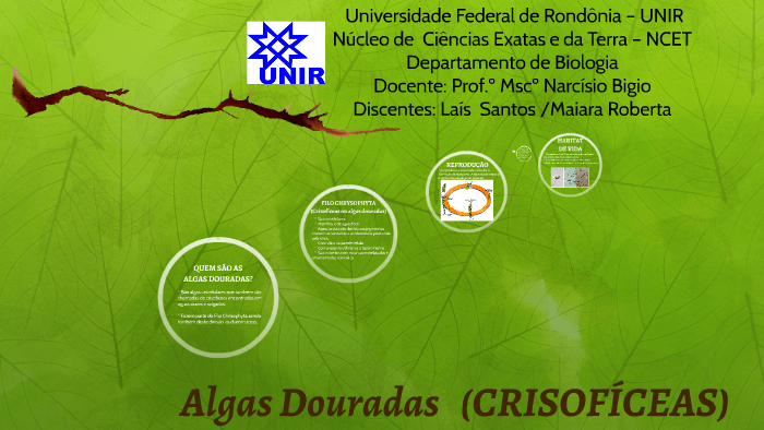 Universidade Federal de Rondonia - NUCLEO DE CIENCIAS EXATAS E DA