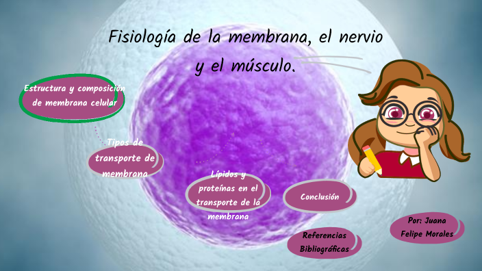 Fisiología De La Membrana, El Nervio Y El Músculo By Juana Felipe On Prezi