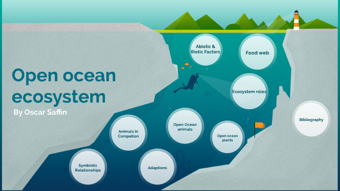 Costal ecosystem by Oscar Saffin