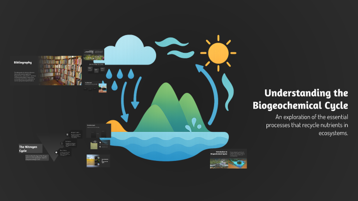 Understanding the Biogeochemical Cycle by Martand on Prezi