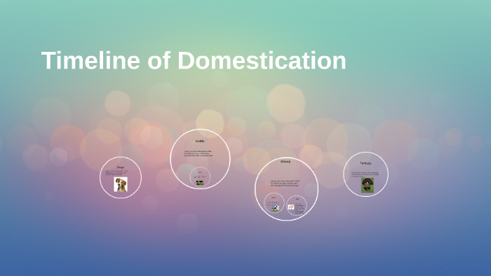 Timeline of Domestication by dakota vannarsdall on Prezi