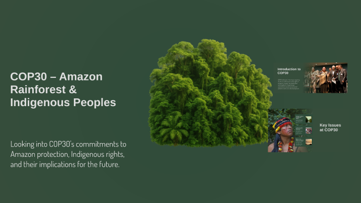 COP30 – Amazon Rainforest & Indigenous Peoples (Simple English Version ...