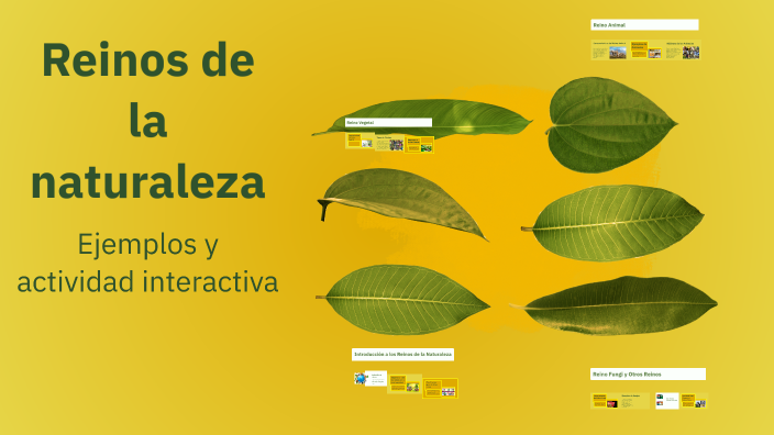 Reinos de la naturaleza by calificador exactas humanas MHB on Prezi