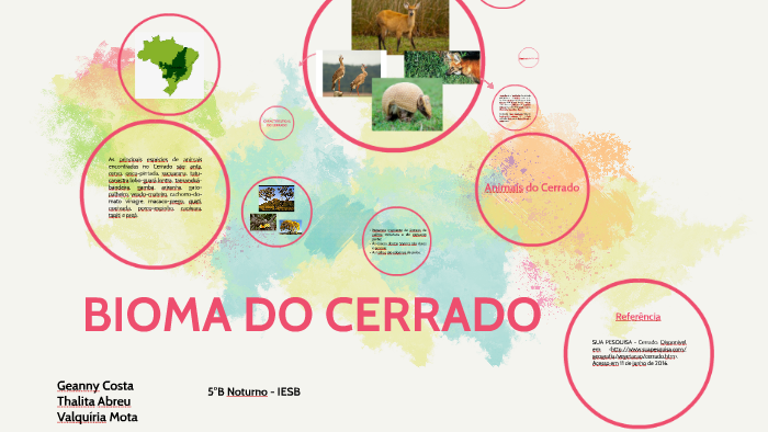 biomas do brasil by Thalita Abreu on Prezi