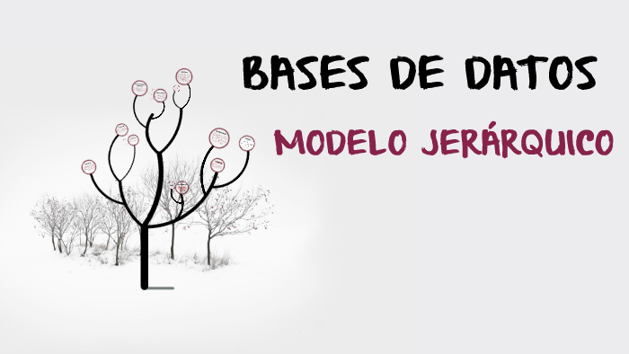 MODELO JERÁRQUICO by Natalia Casas Cristancho on Prezi Next