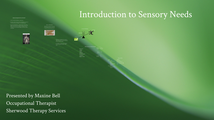 Introduction to Sensory Needs by Emily Hopkinson on Prezi