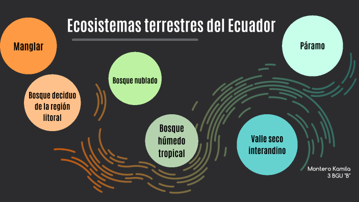 Ecosistemas Terrestres Del Ecuador Pdf Porn Sex Picture 1780