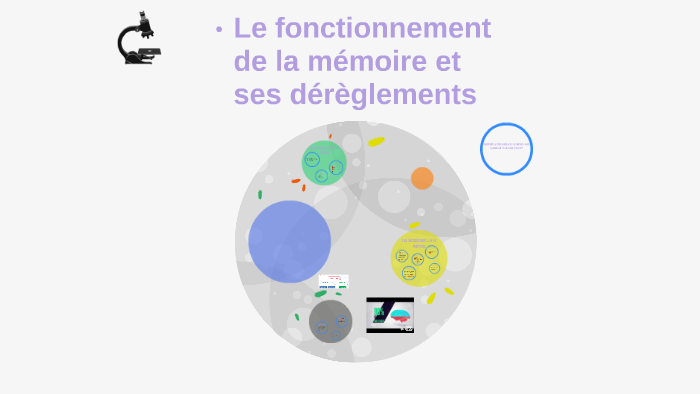 Le fonctionnement de la mémoire et ses dérèglements by Arthur Le Gall ...