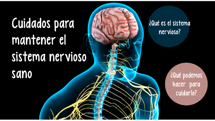 Cuidados Para Mantener El Sistema Nervioso Sano By Luciana Valencia Cuidados Para Mantener El Sistema Nervioso Sano By Luciana Valencia
