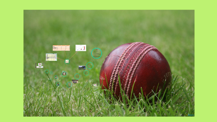 Cricket Information For School Project