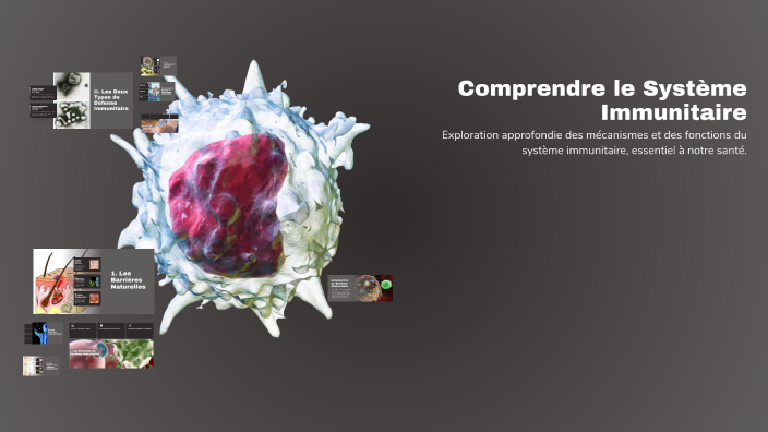 Comprendre le Système Immunitaire by Kat Cstd on Prezi