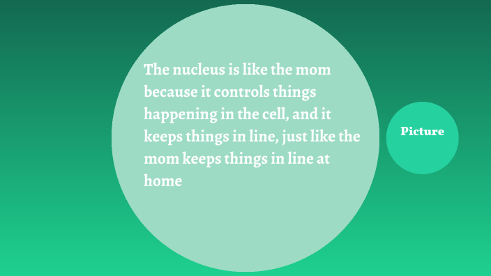 biology by MOLLY Vivian on Prezi