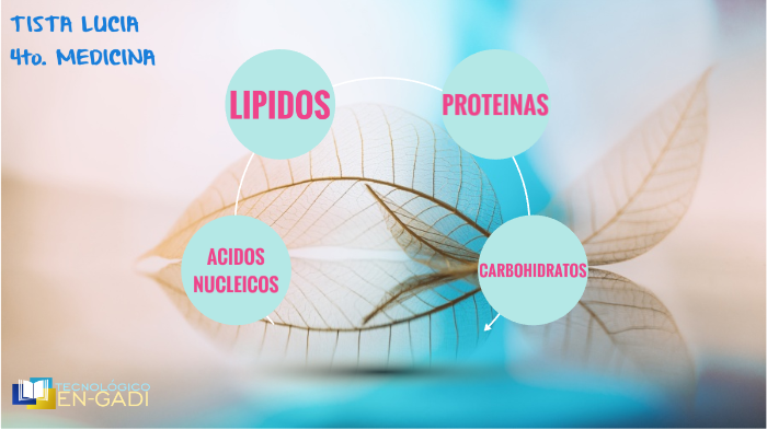 CARBOHIDRATOS, PROTEINAS, LIPIDOS Y ACIDOS NUCLEICOS by Lucia Tista on