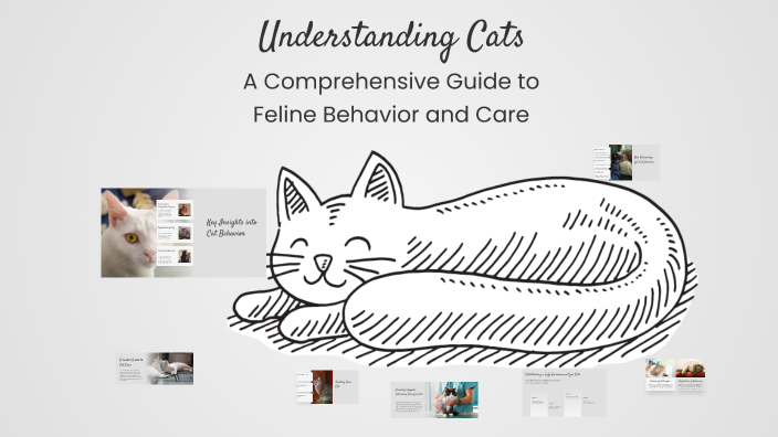 Understanding Cats by hadia on Prezi