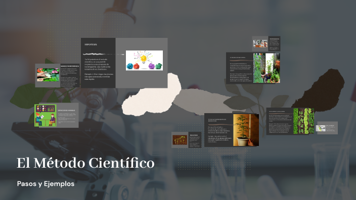 El Método Científico by catalina bermudez on Prezi