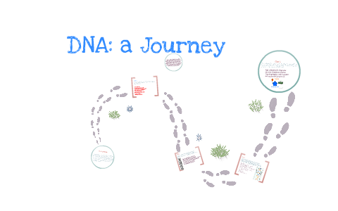 DNA by Scarlett Thompson on Prezi