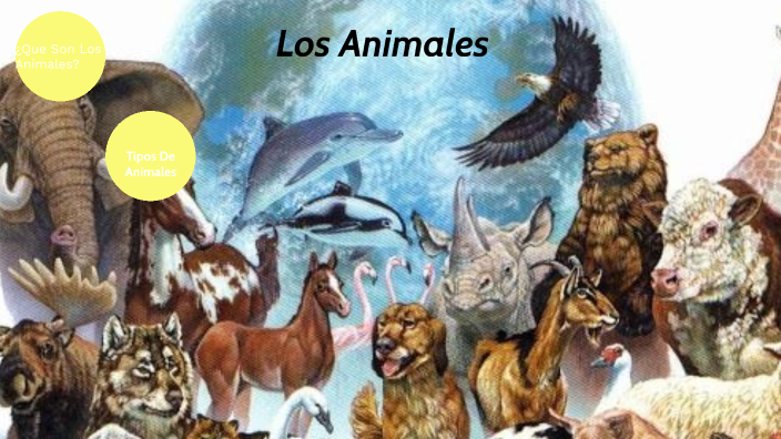 LOS ANIMALES (Paulo Murillo) by Paulo Sergio Murillo Marin on Prezi