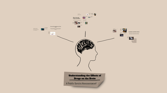Understanding the Effects of Drugs on the Brain by Cherrie Varner on Prezi