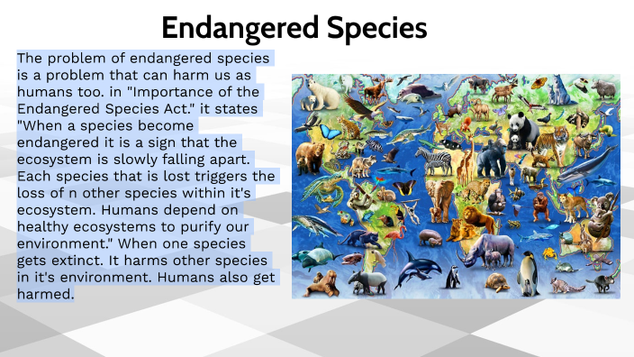 Endangered Species by camila ortiz on Prezi