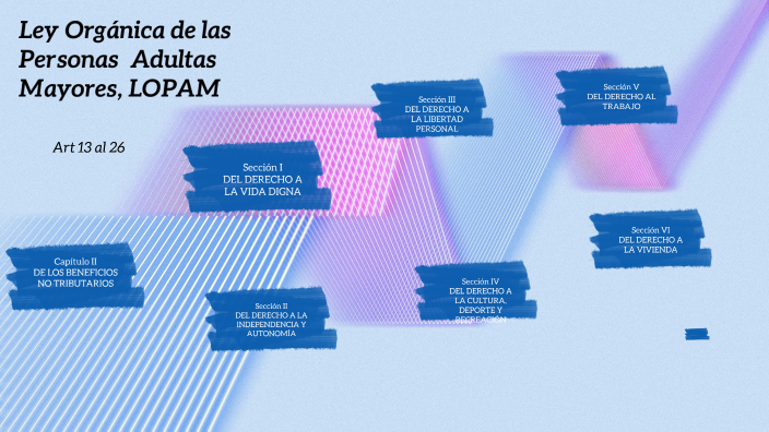 Ley Orgánica De Las Personas Adultas Mayores Lopam By Roxana Aguas 1663