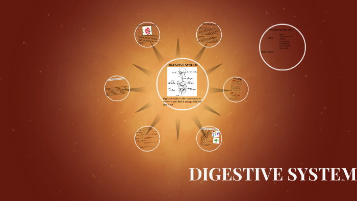 DIGESTIVE SYSTEM by stacy and viktoriya on Prezi
